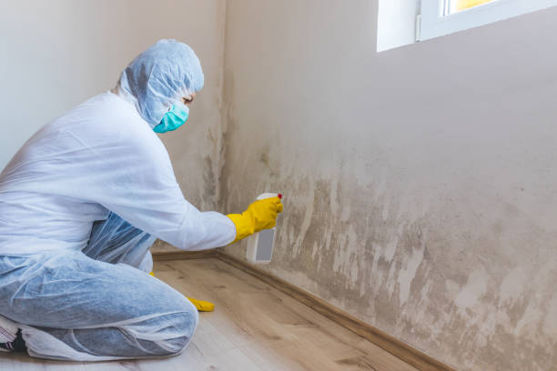 Licensed Commercial Mold Remediation service in New Brunswick, NJ - 24 Hour Mold Removal