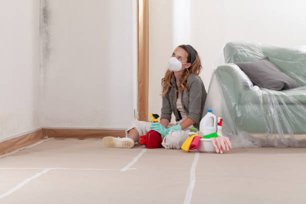 Reliable Commercial Mold Remediation contractor in New Brunswick, NJ by 24 Hour Mold Removal